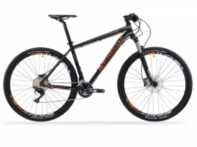 Mountain Bike Bottecchia 29 Gavia XT 20V T19