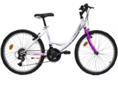 Mountain Bike First 24 Inch Chica