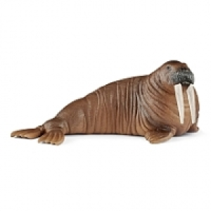 Schleich - Morsa