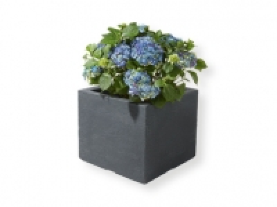 FLORABEST Maceta 17.99 €