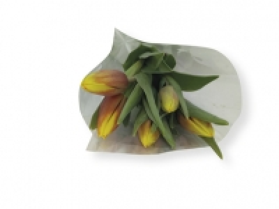 Ramo de tulipanes 2.49 €