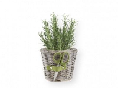 FLORABEST Maceta 4.99 €