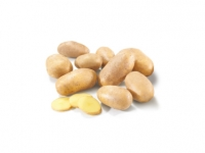 Patata 5 kg 1.99 €