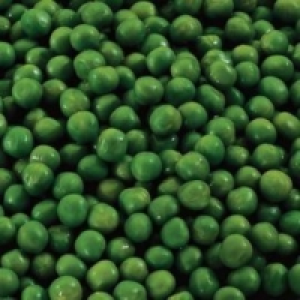 Guisantes extrafinos Premium 0.85 €