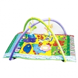 Bruin - Gimnasio de Actividades con Mantita 30.00&nbsp;&euro;