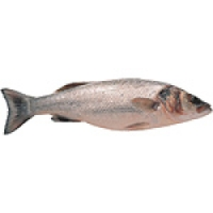LUBIMAR lubina de estero peso pieza 900-1,5 kg 18.95 €