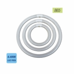 Tubo Fluorescente Circular 32w Trifosforo 865 Edm Ø 30cm 760.00 €