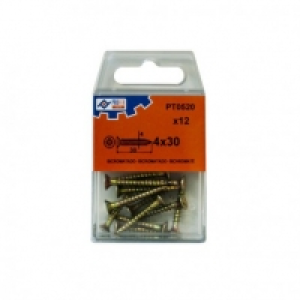 Tirafondo C/plan Pozi Bic C/12 - Profer Top - 48549-pt0520 - 0.79&nbsp;&euro;