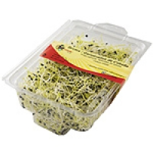 FANYA germinados de cebolla tarrina 95 g 2.25 €
