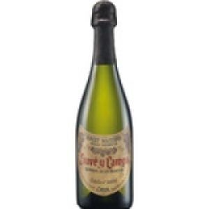 JUVE & CAMPS reserva de familia cava brut nature Gran Reserv 15.95 €