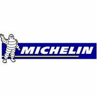 Carrefour  Michelin 225/65 R16cp 112q Agilis Camping, Neumático Furgón