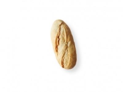 Pulguita 0.14 €