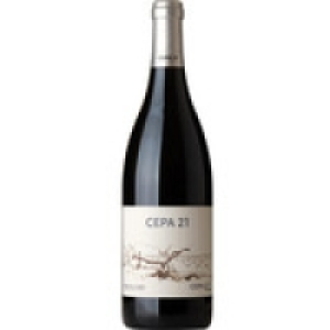 CEPA 21 vino tinto reserva D.O. Ribera del Duero botella 75  18.95 €