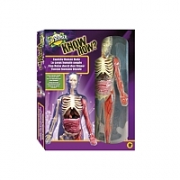 Toysrus  Edu Science - Kit Anatomía
