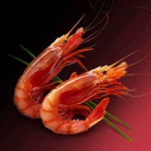 Gamba roja grande Premium 23.99 €