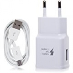 Cargador De Pared Para Smartphone Con Conexión Micro-usb Par