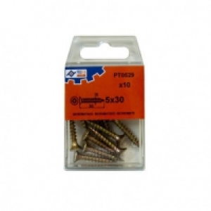 Tirafondo C/plan Pozi Bic C/10 - Profer Top - 48558-pt0529 -
