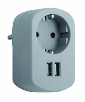 Adaptador Combi 16a + 2 Usb 2.1 A 250 V Gris