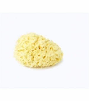 Esponja Natural Bebe Tummy Tub Con Caja. N.12
