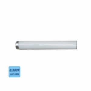Tubo Fluorescente 20w 6500k (grueso) T-12