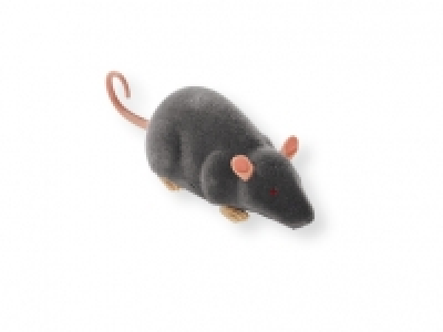 Tarántula | Rata teledirigida 15.99 €