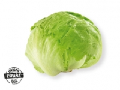 Lechuga iceberg 0.59 €