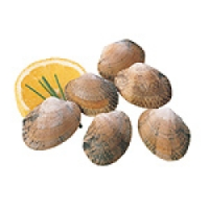 Almeja japónica pequeña especial marinera 11.95 €