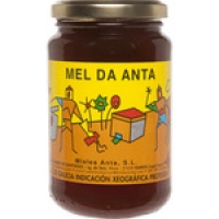 Hipercor  MEL DA ANTA miel de los bosques de Galicia I.G.P. frasco 500