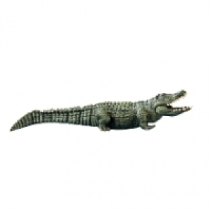 Animal Zone - Cocodrilo Radio Control