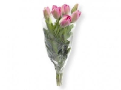 Ramo de tulipanes 1.99 €