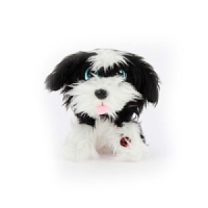 Toysrus  Rescue Runts Babies - Bordie Collie