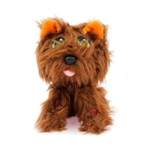 Rescue Runts Babies - Mestizo