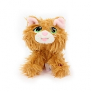 Rescue Runts Babies - Gato Atigrado