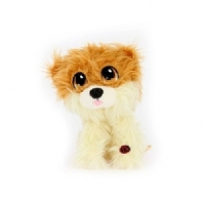 Rescue Runts Babies - Pomeranian