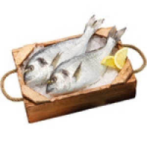 Dorada de estero peso pieza 600-800 g 13.95 €