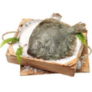 Rodaballo gallego peso pieza 1,5-2,2 kg