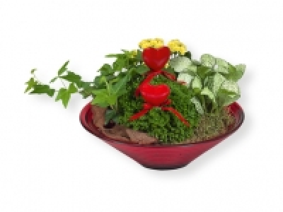 Centro decorativo 6.99 €