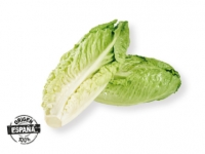 Lechuga romana 0.69 €
