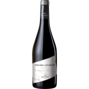 PONTE DA BOGA Bancales Olvidados vino tinto mencía D.O. Ribe 14.31 €