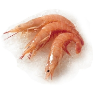Gambón 10-20 pzas/kg 11.95 €