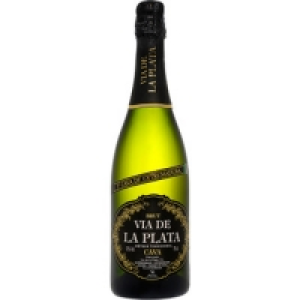 VIA DE LA PLATA cava coupage brut de Extremadura botella 75