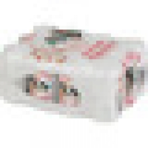 VICTORIA cerveza rubia especial malagueña Pack 12 latas 33 c 4.99 €
