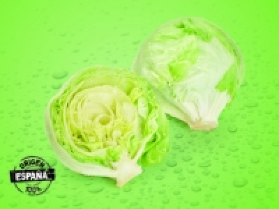 Lechuga Iceberg 0.65 €