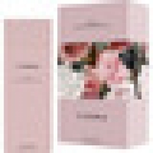 VICKY MARTIN BERROCAL Tierra eau de toilette spray 100 ml