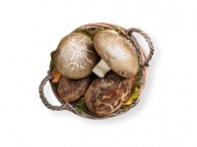 Setas Shiitake 0.99 €