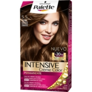 SCHWARZKOPF PALETTE Intensive Creme Color Castaño Luminoso n