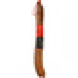 CENTENO PZ chorizo ibérico de bellota de Extremadura peso ap 12.50 €