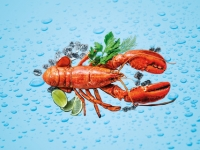 Lidl  Deluxe® Bogavante entero cocido