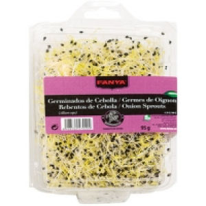 FANYA germinados de cebolla tarrina 95