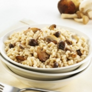 Risotto ai funghi 2.99 €